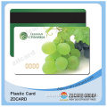 Plastic Magnetic Stripe Card Hico & Loco (ZD221)